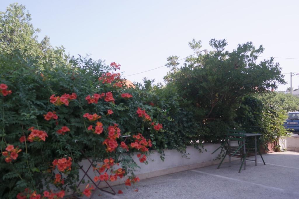 Appartement Lavanda *